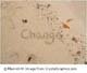 Change