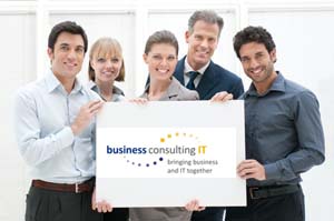 TeamConsulting4bit